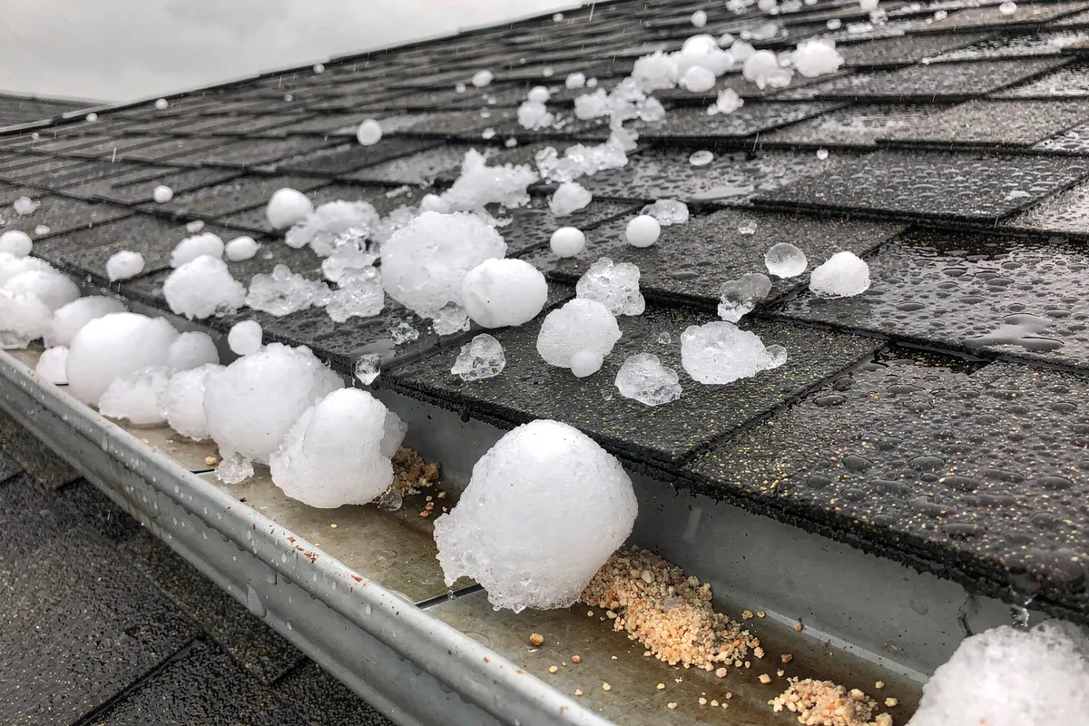 Hail stones lying on a wet grey shingle roof after a Colorado storm